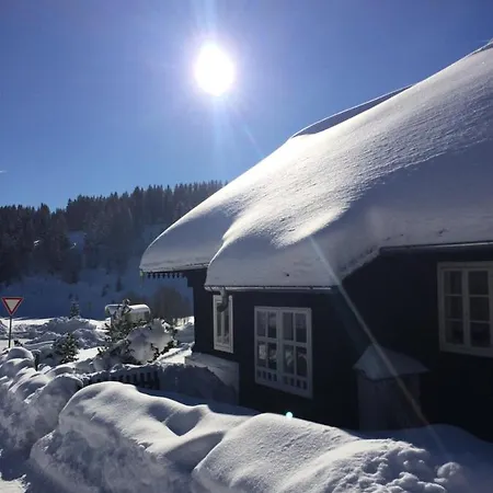Chalet Violka