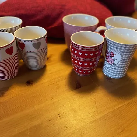 Violka Dağ evi Kvilda